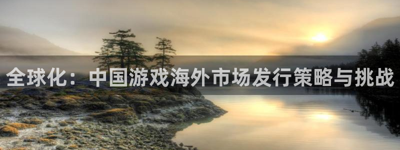 陕西新宝GG子文化创意干啥的：全球化：中国游戏海外市场发行策略与挑战