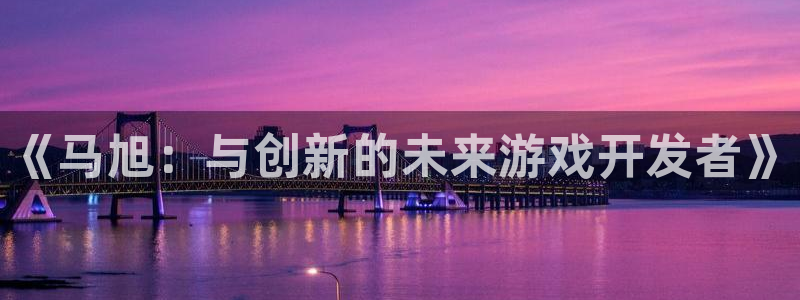 法国新宝GG官网：《马旭：与创新的未来游戏开发者》