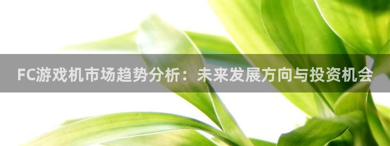 新宝GG官网注册方法有哪些软件：FC游戏机市场趋势分析：未来发展方向与投资机会