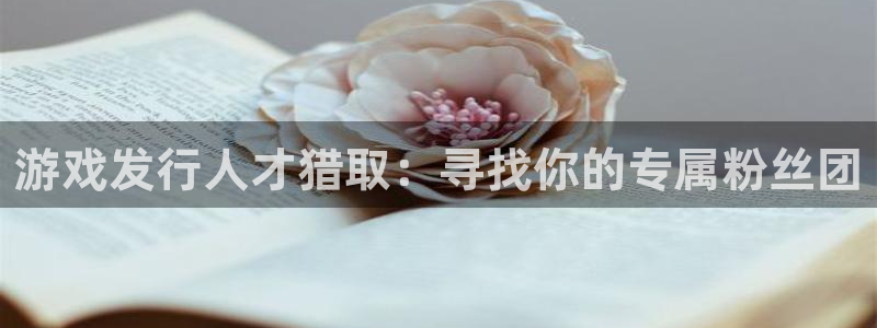 新宝GG官网注册平台怎么样可靠吗：游戏发行人才猎取：寻找你的专属粉丝团
