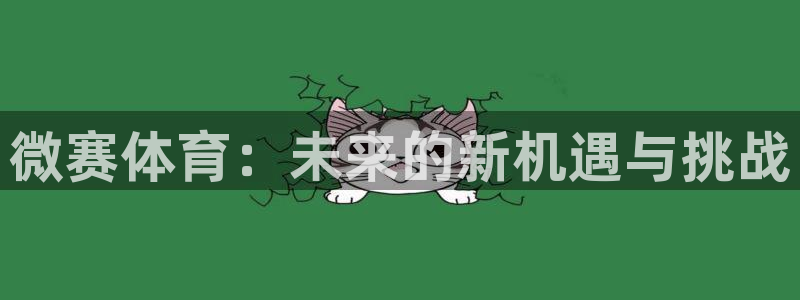 新宝GG品牌顾问有限公司：微赛体育：未来的新机遇与挑战