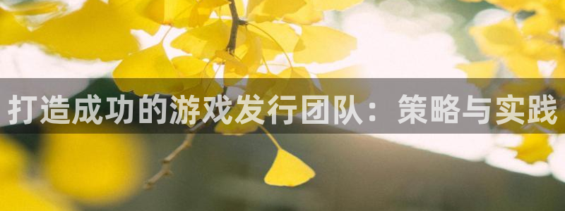 新宝GG子 到底怎么样：打造成功的游戏发行团队：策略与实践