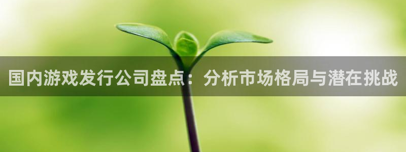 新宝GG子怎么来的：国内游戏发行公司盘点：分析市场格局与潜在挑战