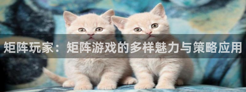 新宝GG官网怎么注册账号：矩阵玩家：矩阵游戏的多样魅力与策略应用