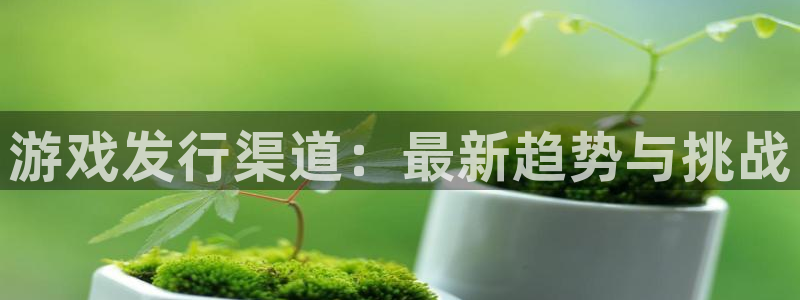 广东新宝GG电子科技有限公司：游戏发行渠道：最新趋势与挑战