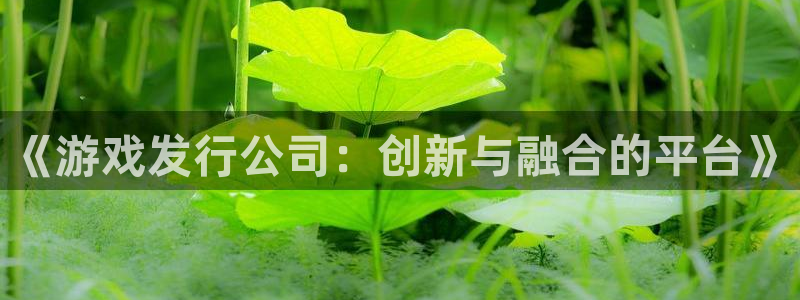 新宝GG子的图片