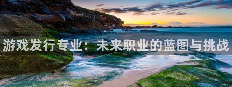 新宝GG官网注册方法是什么软件：游戏发行专业：未来职业的蓝图与挑战