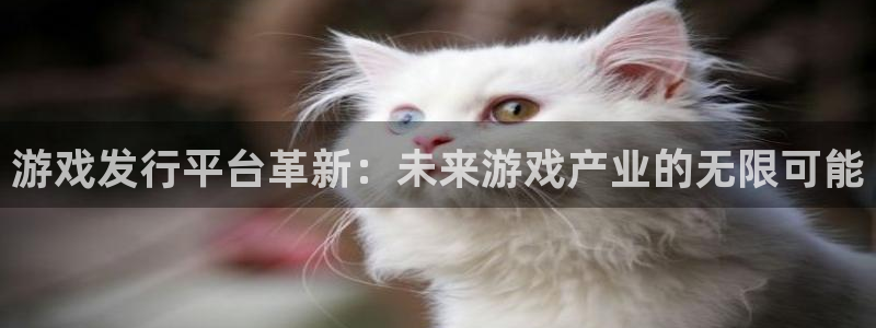 广州新宝GG网络科技有限公司招聘