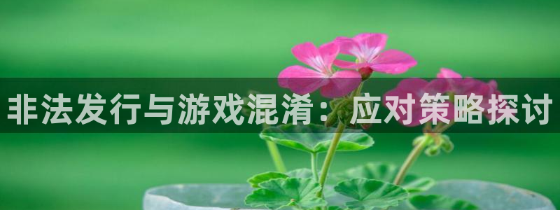 新宝GG服装品牌怎么样：非法发行与游戏混淆：应对策略探讨