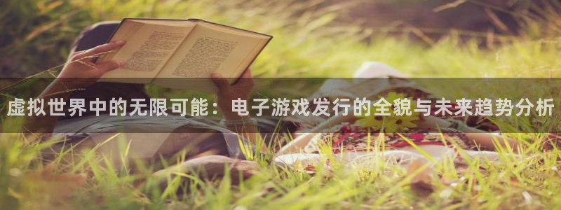 新宝GG官网代理注册：虚拟世界中的无限可能：电子游戏发行的全貌与未来趋势分析