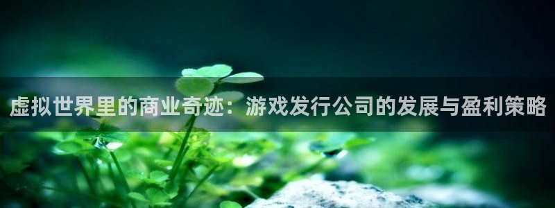 新宝GG官网登录注册账号失败怎么办：虚拟世界里的商业奇迹：游戏发行公司的发展与盈利策略