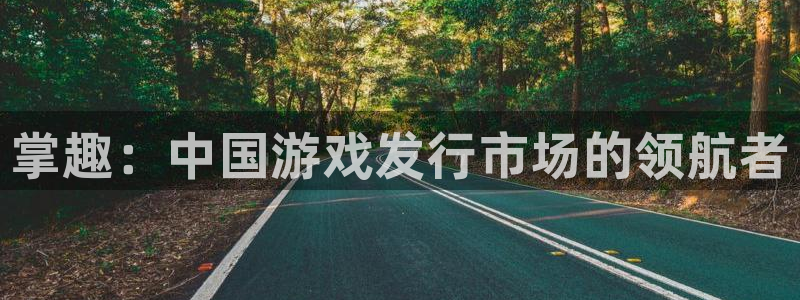 新宝GG品牌策划公司：掌趣：中国游戏发行市场的领航者