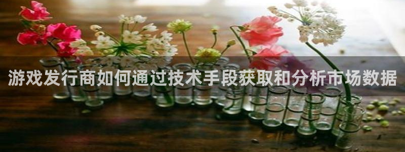 新宝GG官网代理开号：游戏发行商如何通过技术手段获取和分析市场数据