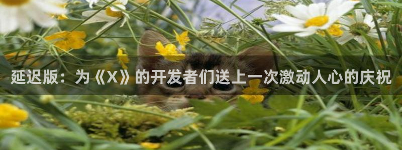 新宝GG啤酒怎么样