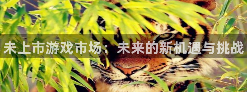 新宝GG官网平台代理条件：未上市游戏市场：未来的新机遇与挑战