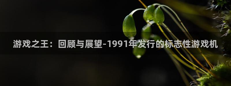 新宝GG子上市：游戏之王：回顾与展望-1991年发行的标志性游戏机