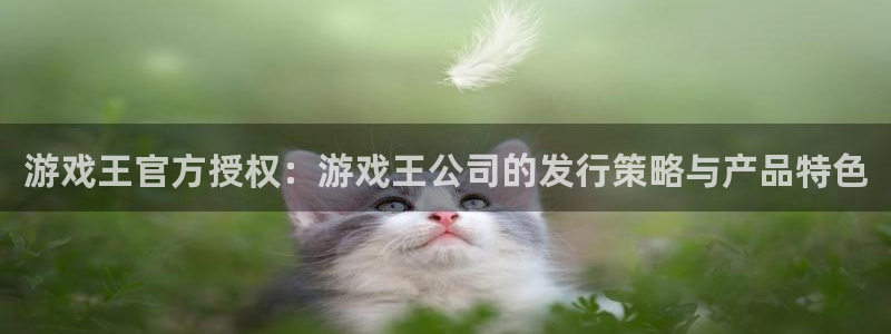 新宝GG官网注册平台是什么意思：游戏王官方授权：游戏王公司的发行策略与产品特色