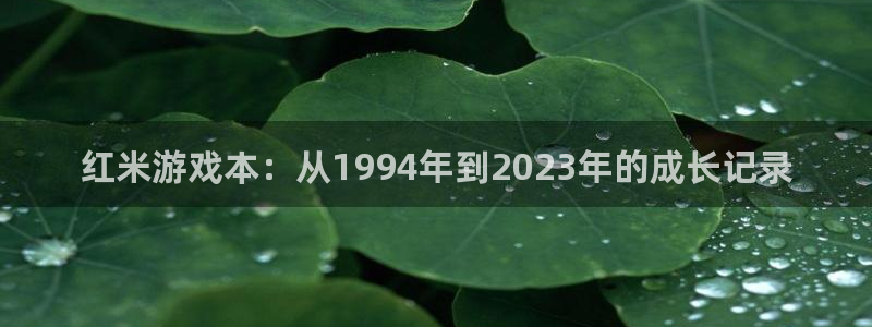 新宝GG子文化是干嘛的：红米游戏本：从1994年到2023年的成长记录