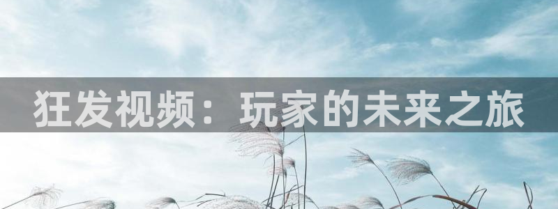 新宝GG官网登录注册账号安全吗安全吗：狂发视频：玩家的未来之旅