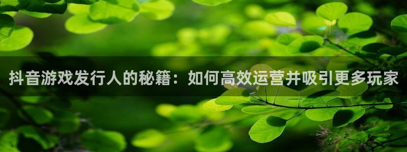 新宝GG技术有限公司官网：抖音游戏发行人的秘籍：如何高效运营并吸引更多玩家