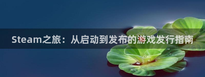 新宝GG官网登录注册账号失败怎么办